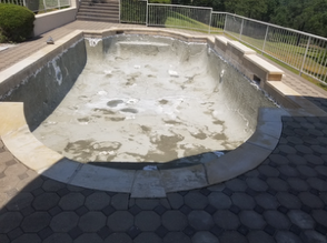 Custom freeform pool — tile & coping detail by pool remodel experts Austin